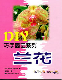 兰花（DIY巧手园艺系列）