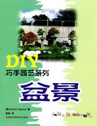 盆景（DIY巧手园艺系列） 