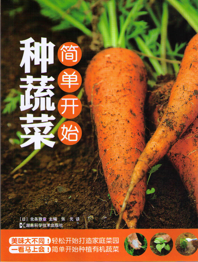 简单开始种蔬菜