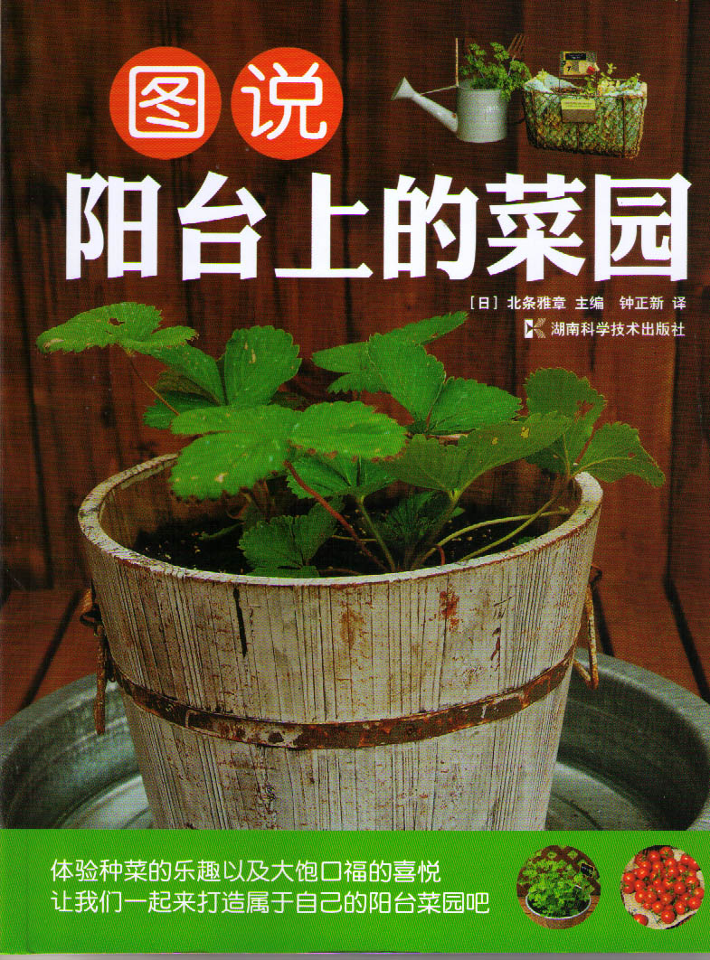 图说阳台上的菜园