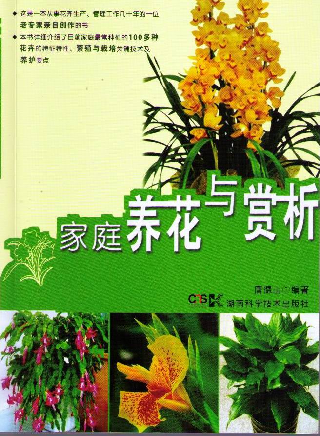 家庭养花与赏析