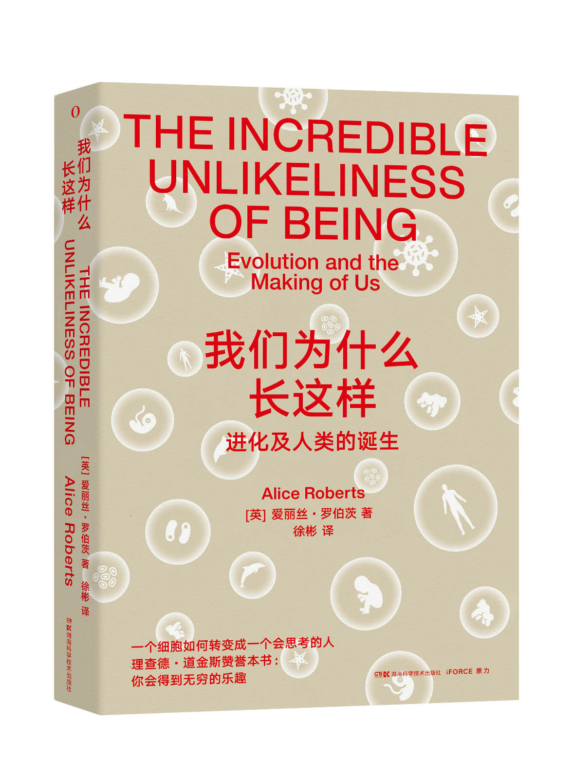 我们为什么长这样