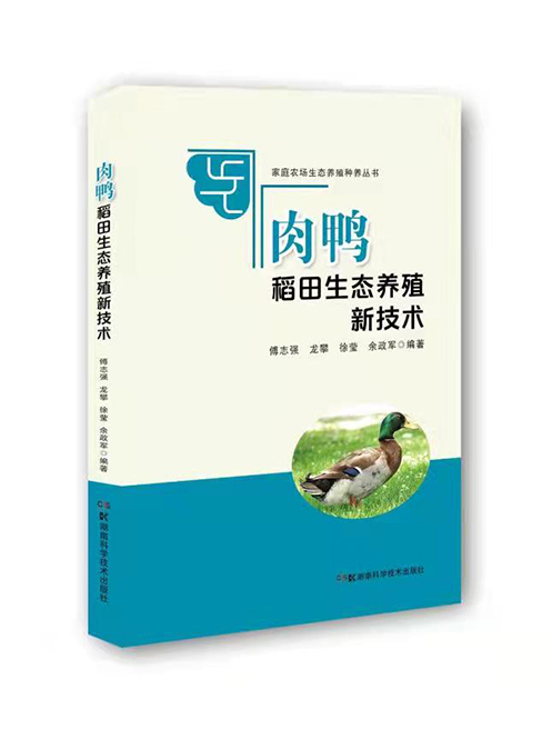 肉鸭稻田生态养殖新技术
